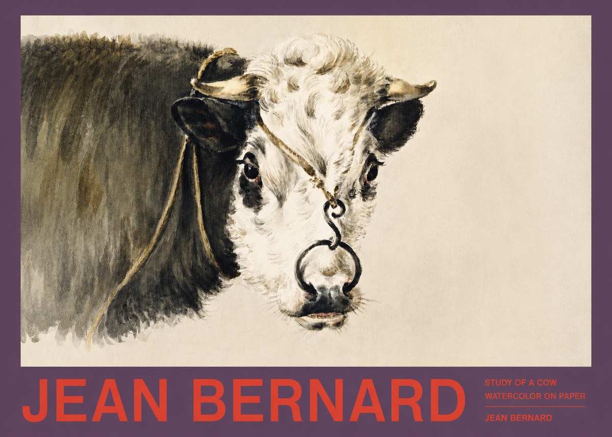 Jean Bernard Study of a Cow I No2 - Plakát