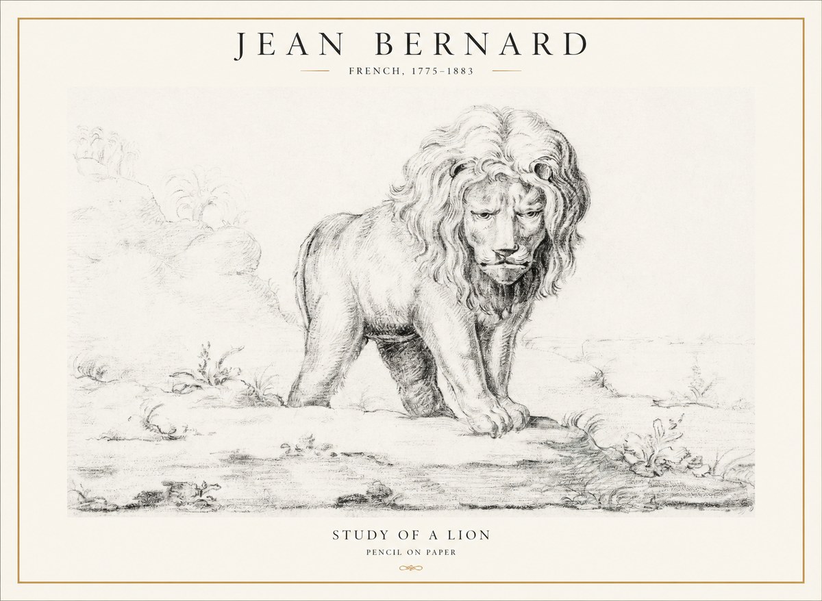 Jean Bernard Study of a Lion I No4 - Plakát