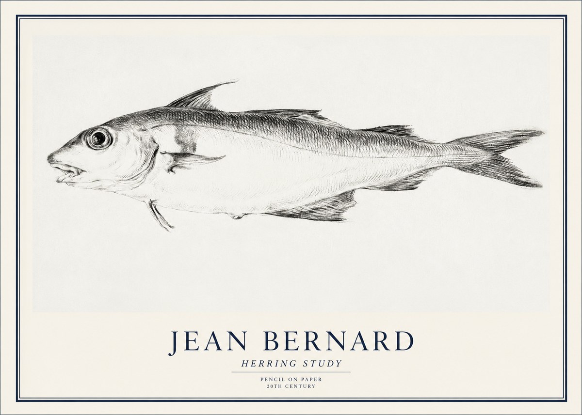 Jean Bernard Herring Study No1 - Plakát