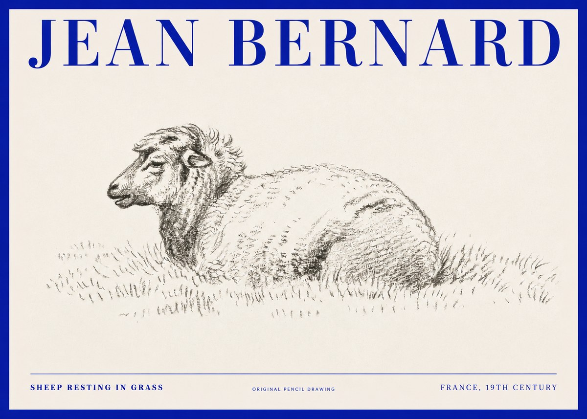 Jean Bernard Sheep Resting in Grass No2 - Plakát