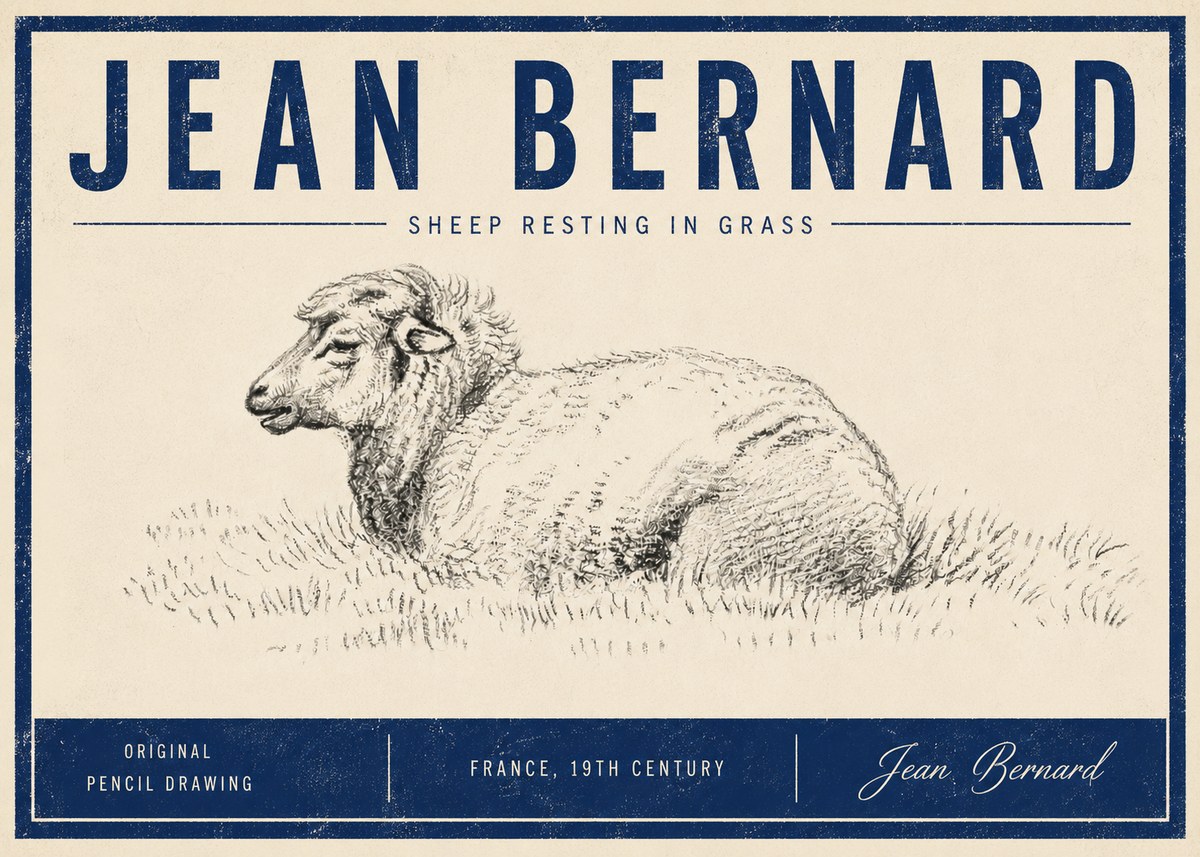 Jean Bernard Sheep Resting in Grass No5 - Plakát