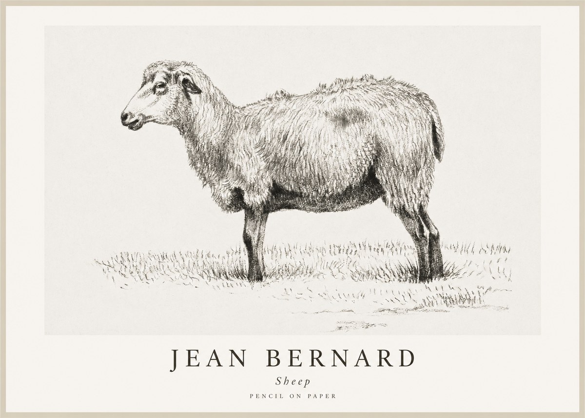 Jean Bernard Sheep No1 - Plakát