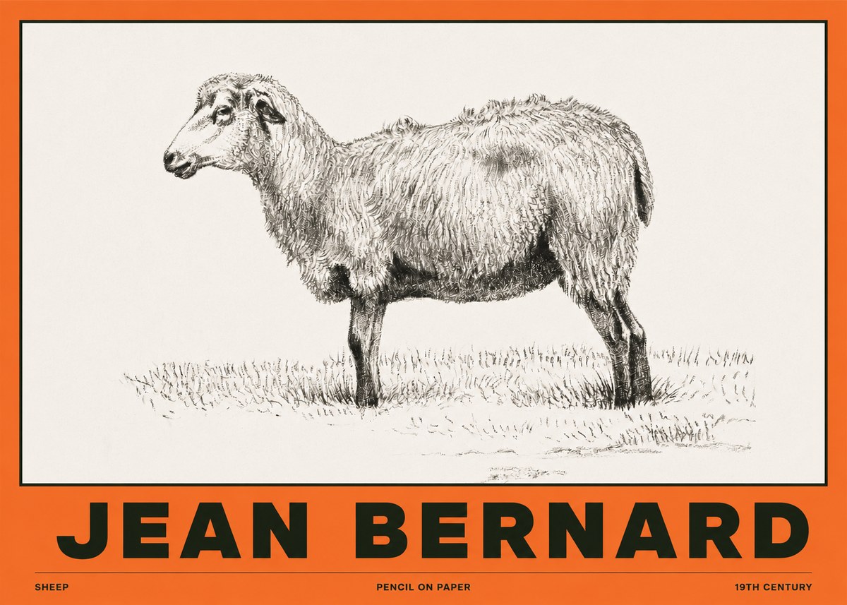 Jean Bernard Sheep No2 - Plakát