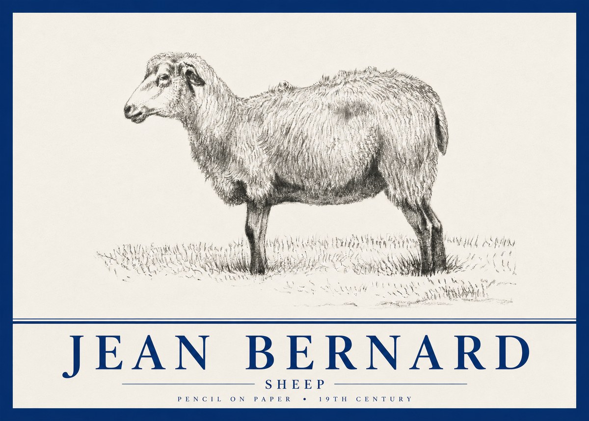 Jean Bernard Sheep No4 - Plakát