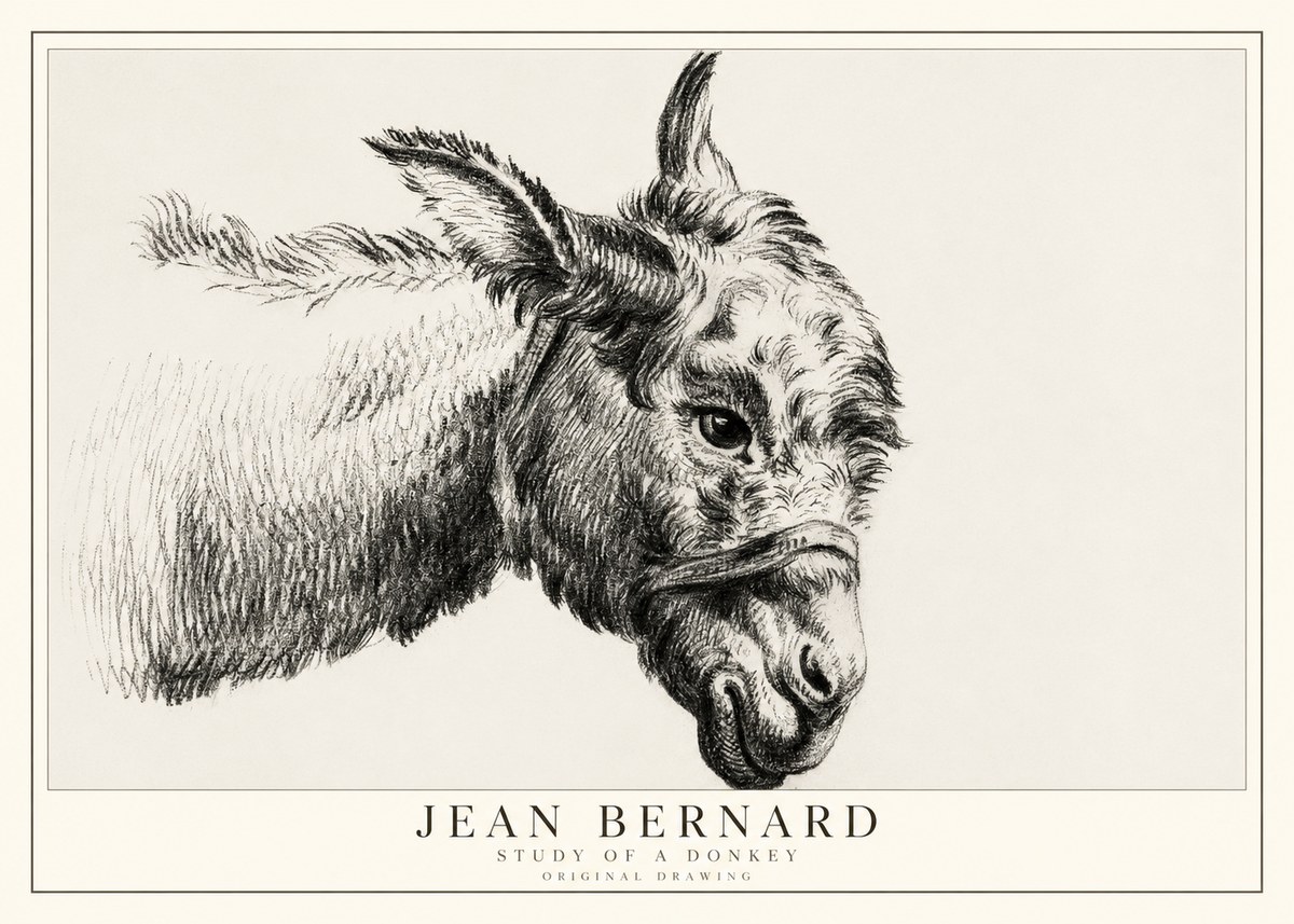 Jean Bernard Study of a Donkey I No1 - Plakát