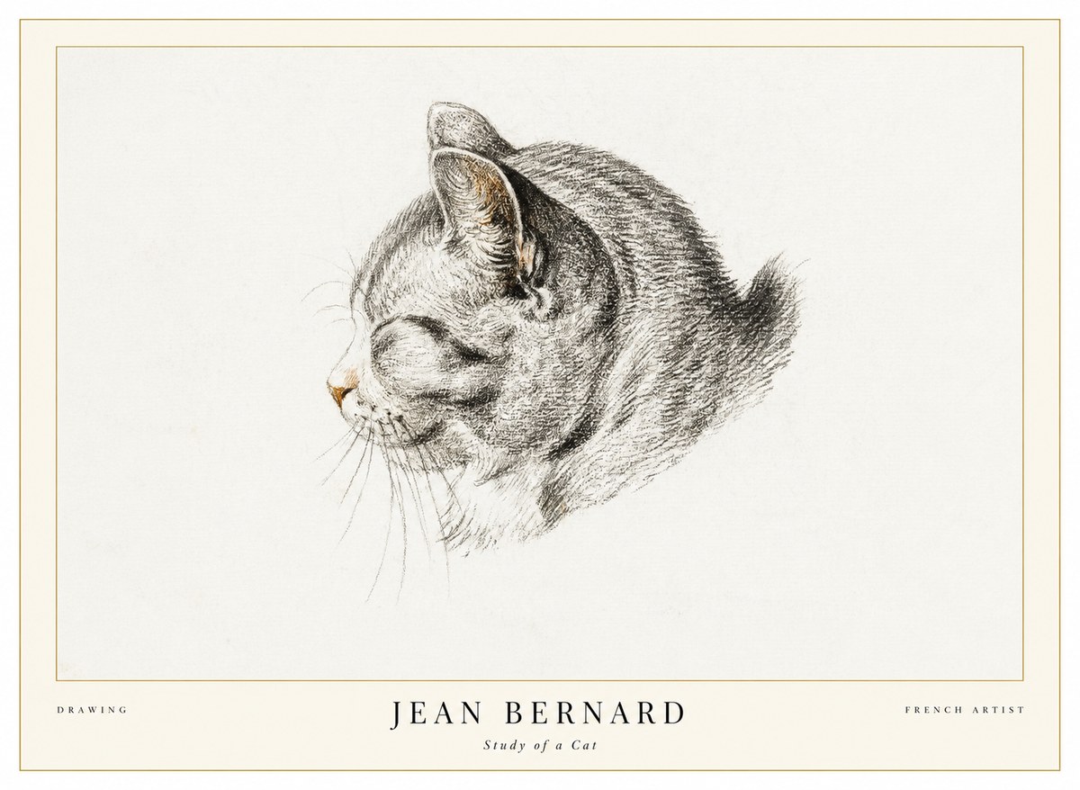 Jean Bernard Study of a Cat I No1 - Plakát