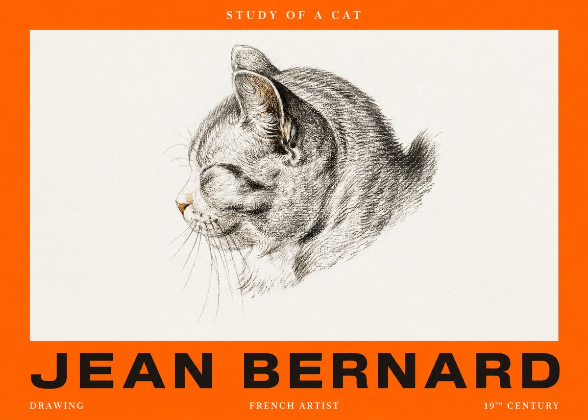 Jean Bernard Study of a Cat I No2 - Plakát