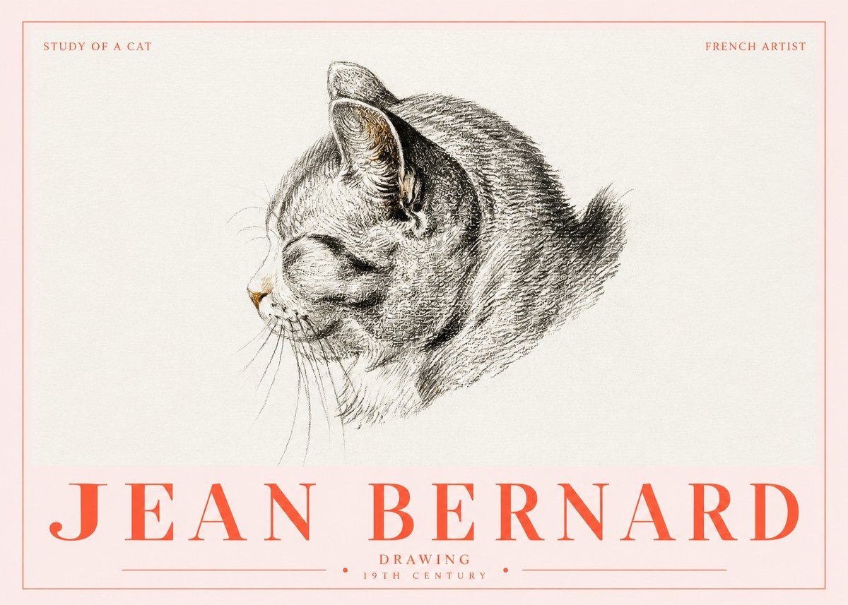 Jean Bernard Study of a Cat I No5 - Plakát
