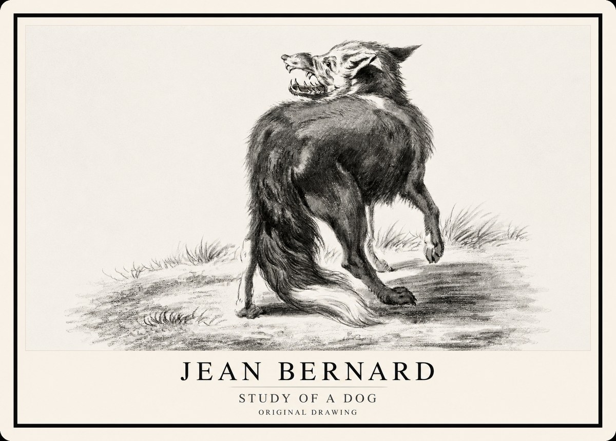 Jean Bernard Study of a Dog II No1 - Plakát