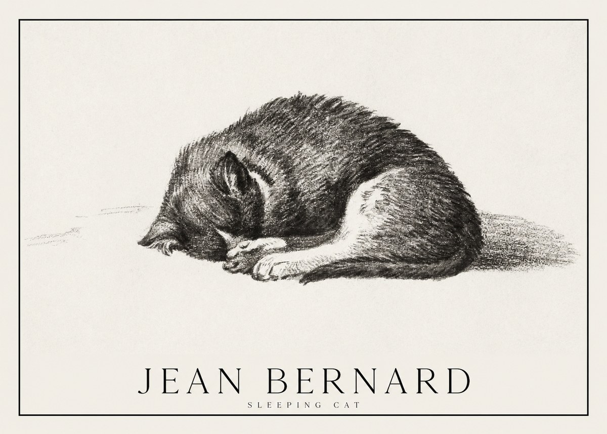 Jean Bernard Sleeping Cat III No1 - Plakát