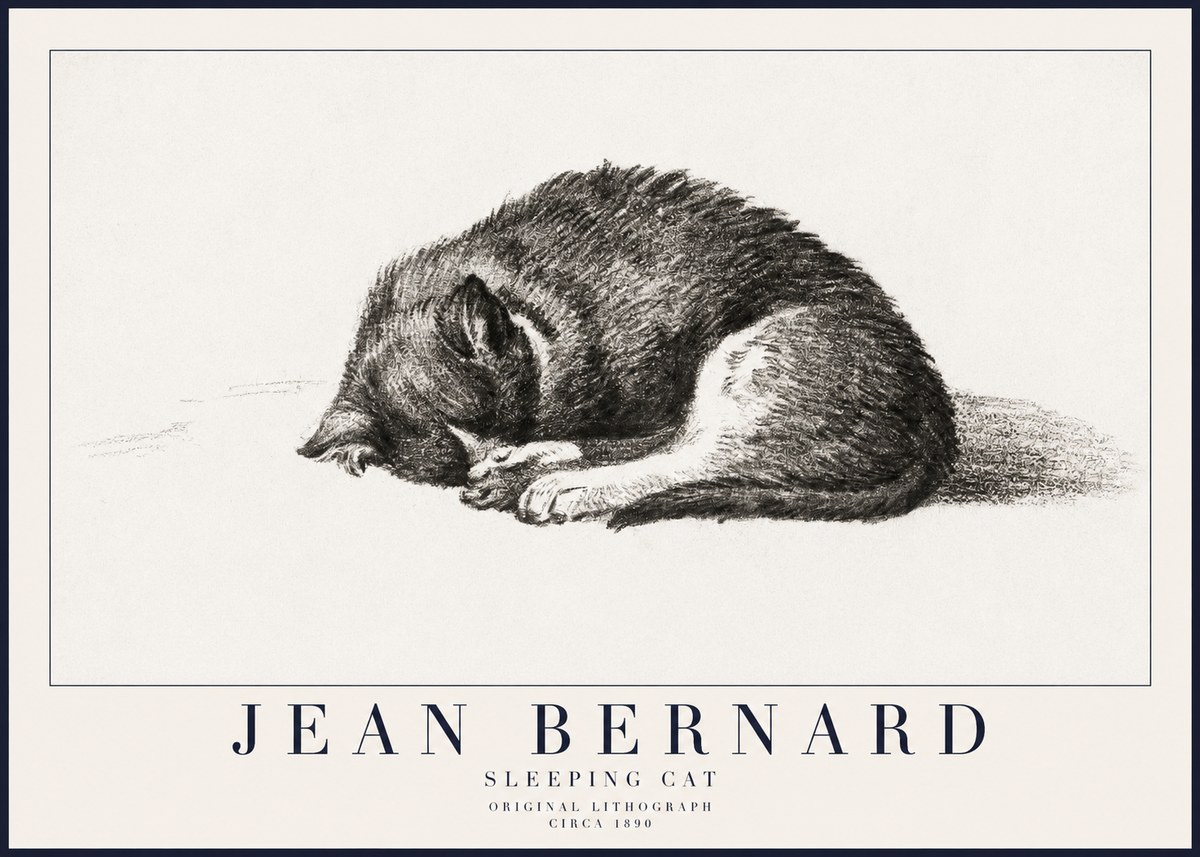 Jean Bernard Sleeping Cat III No6 - Plakát