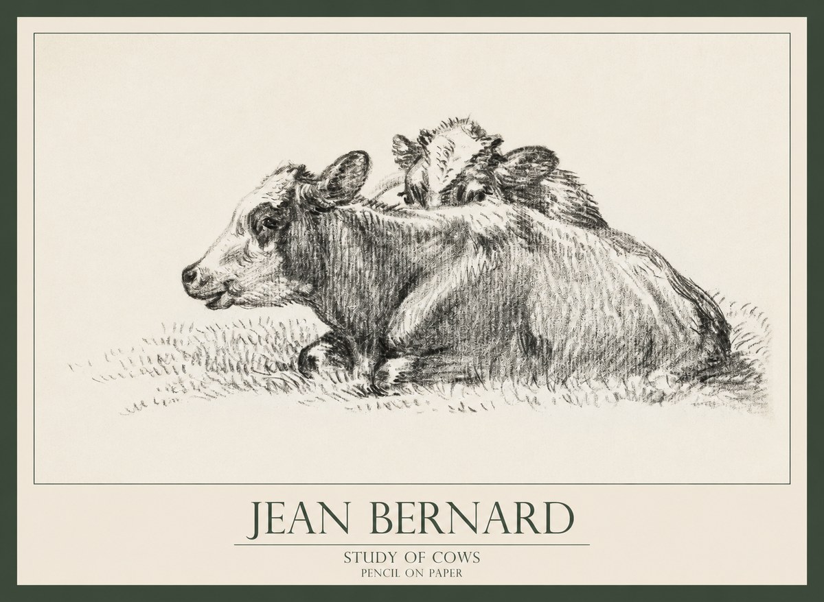 Jean Bernard Study of Cows No1 - Plakát