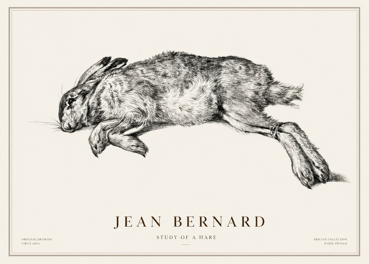 Jean Bernard Study of a Rabbit No3 - Plakát