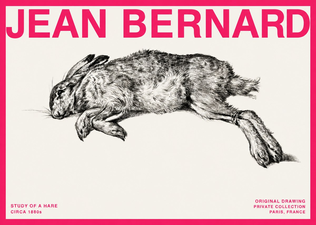 Jean Bernard Study of a Rabbit No4 - Plakát