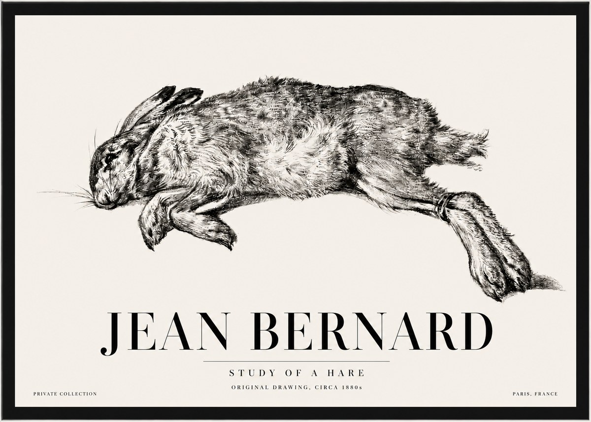 Jean Bernard Study of a Rabbit No5 - Plakát