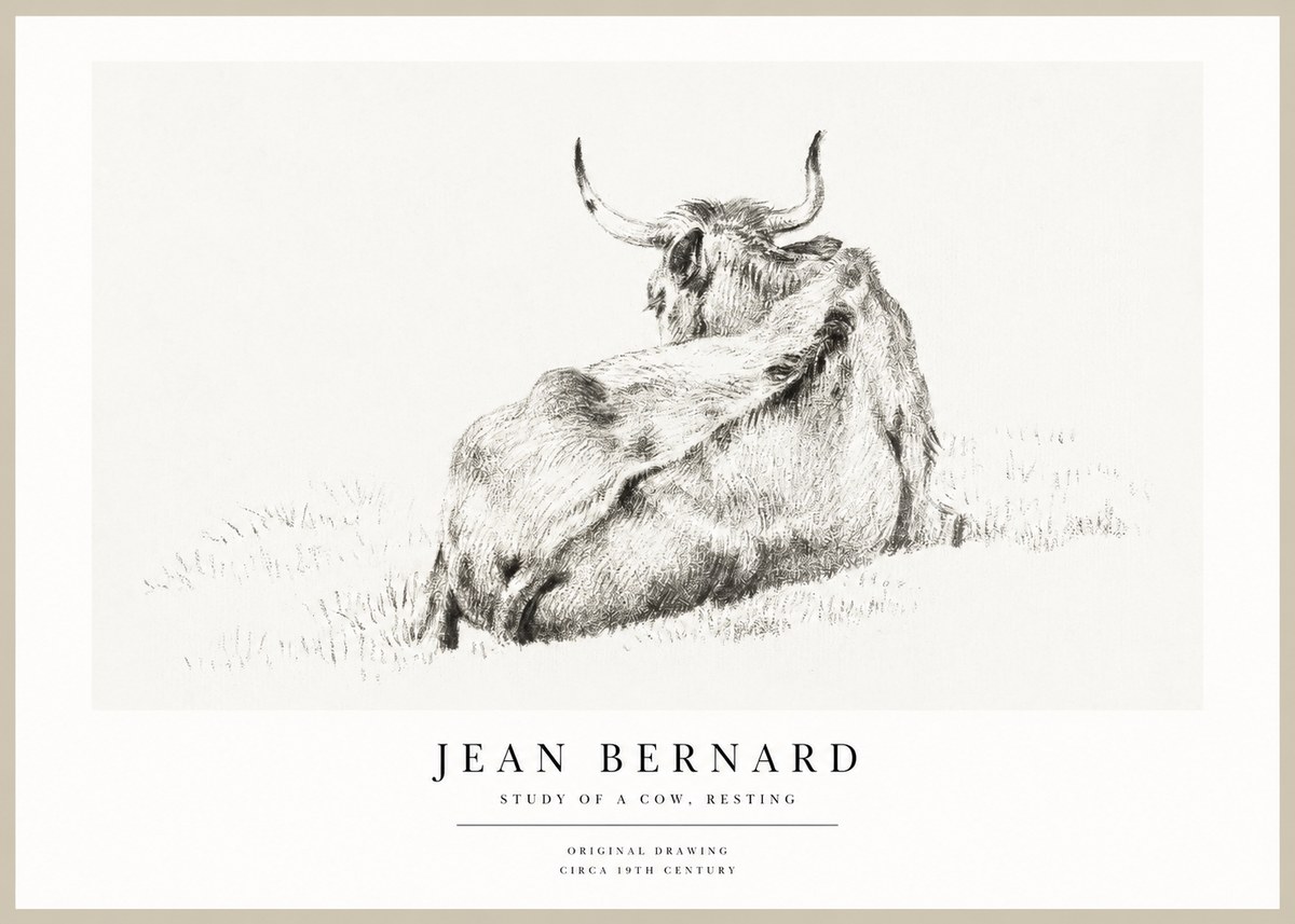 Jean Bernard Resting Bovine - Study in Graphite No2 - Plakát