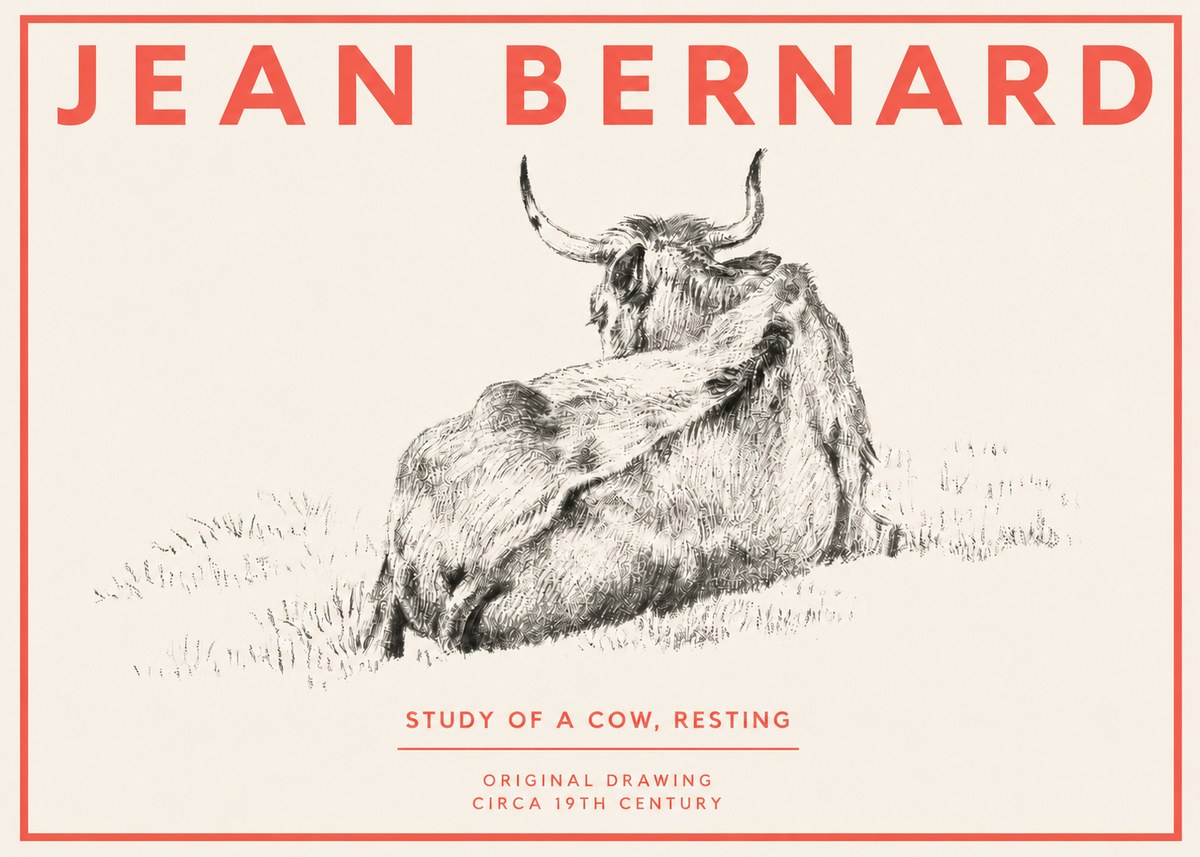 Jean Bernard Resting Bovine - Study in Graphite No4 - Plakát