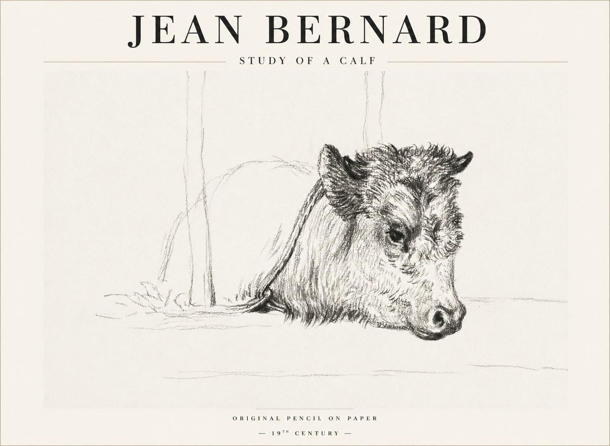 Jean Bernard Study of a Calf I No1 - Plakát