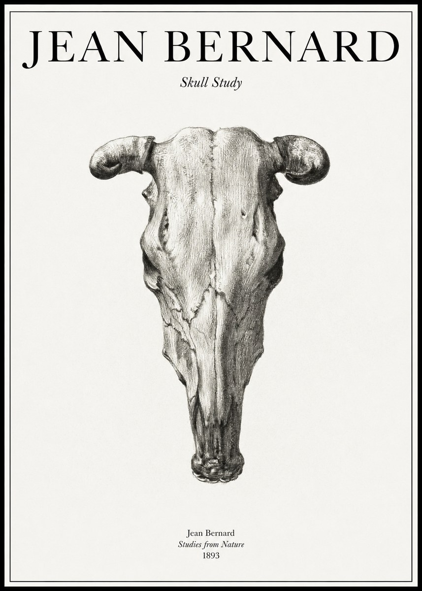 Jean Bernard Skull Study No1 - Plakát