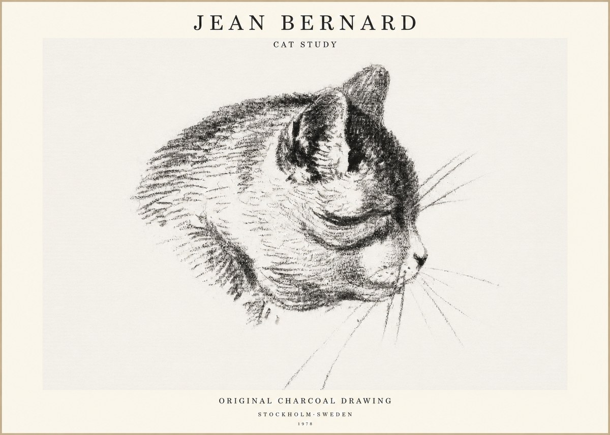 Jean Bernard Cat Study IV No1 - Plakát
