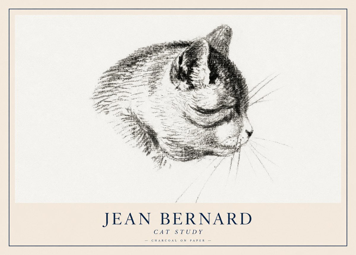 Jean Bernard Cat Study IV No2 - Plakát