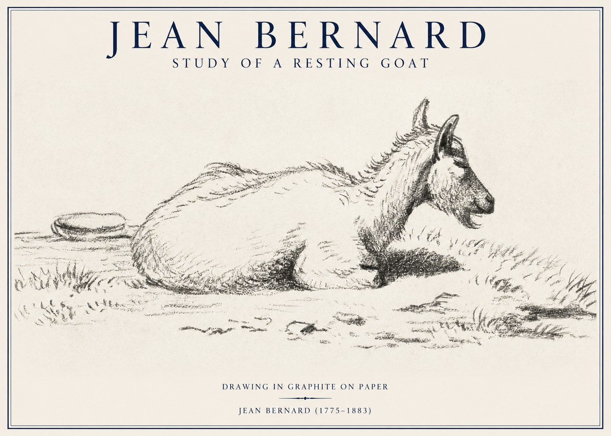 Jean Bernard Study of a Resting Goat No1 - Plakát