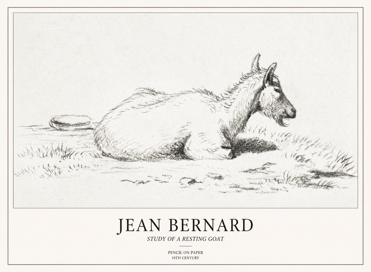 Jean Bernard Study of a Resting Goat No2 - Plakát
