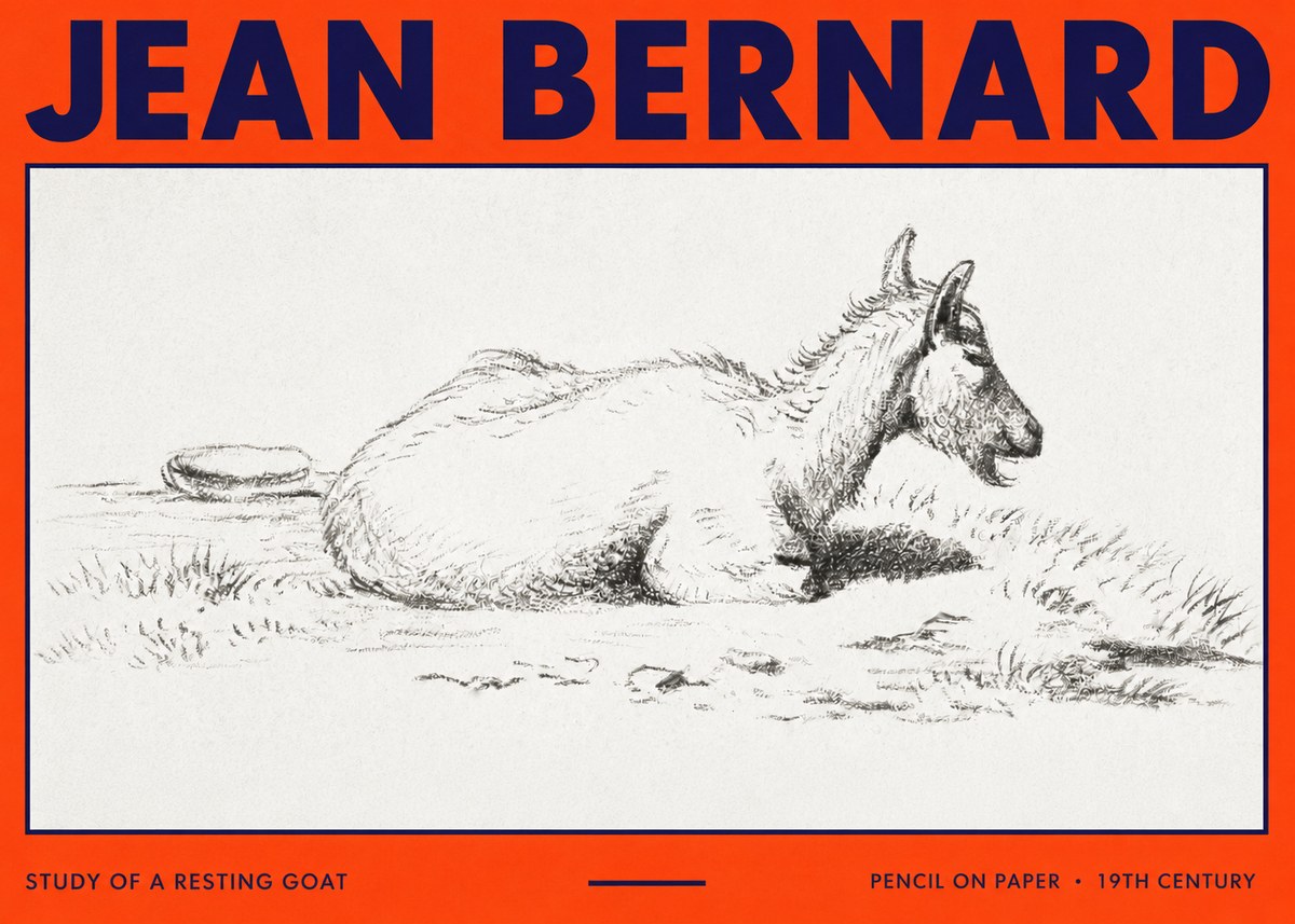 Jean Bernard Study of a Resting Goat No3 - Plakát