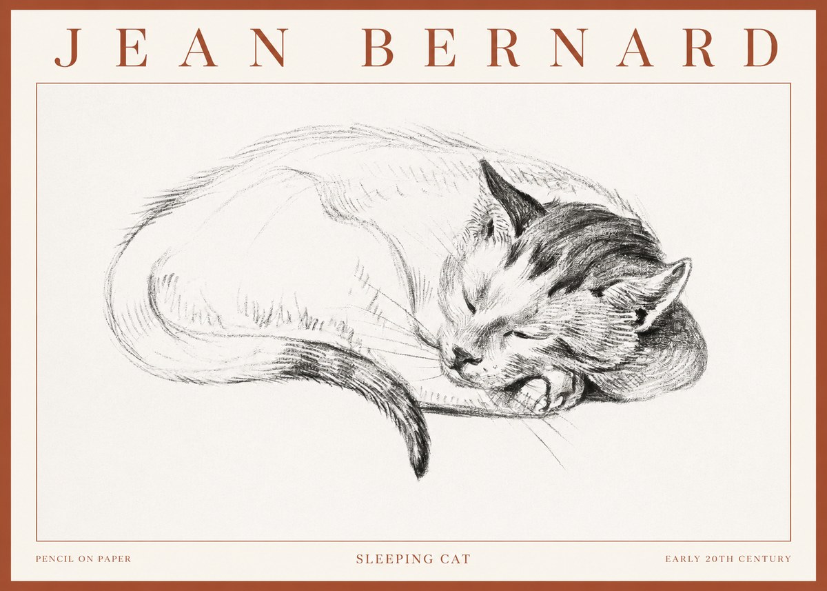 Jean Bernard Sleeping Cat IV No3 - Plakát