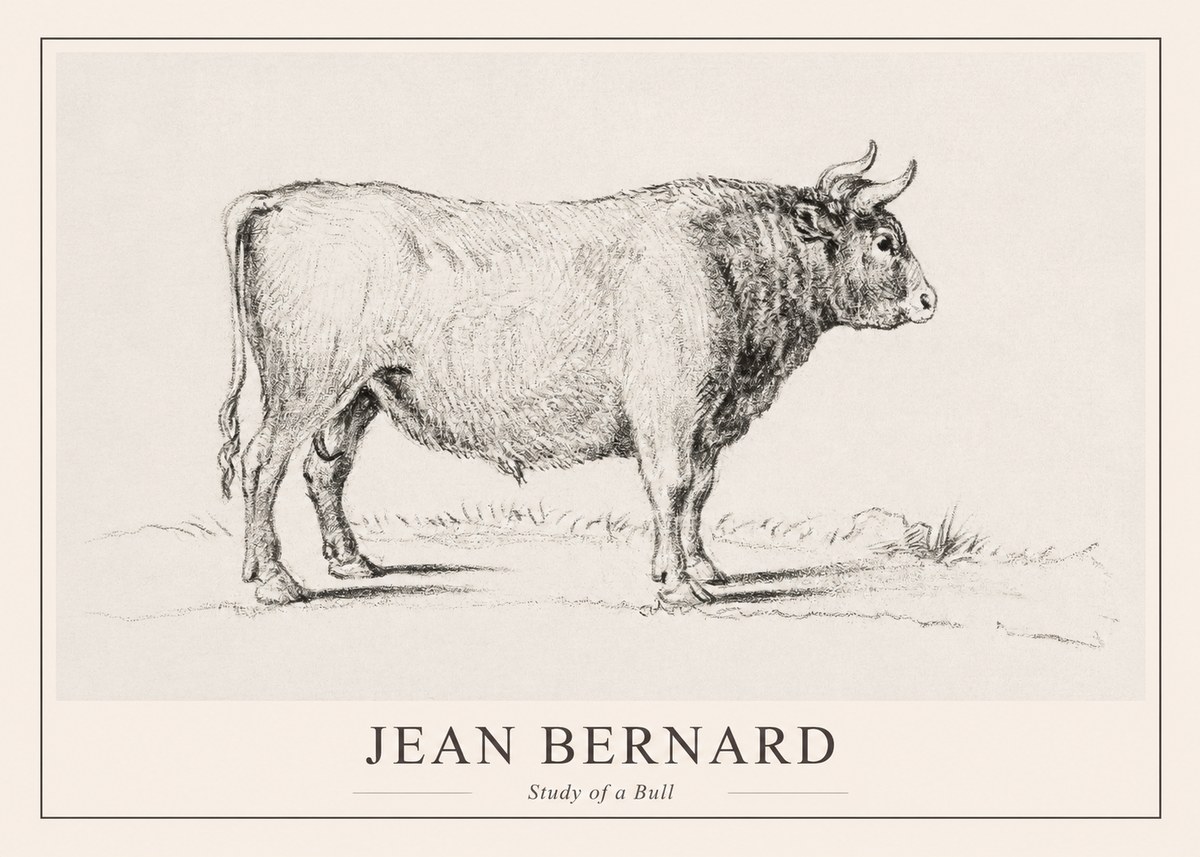 Jean Bernard Study of a Bull I No1 - Plakát