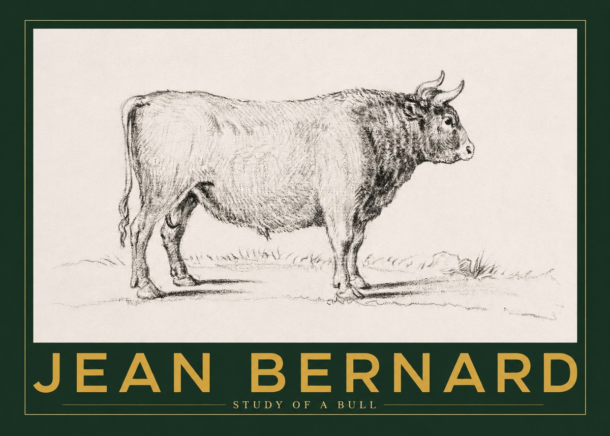 Jean Bernard Study of a Bull I No2 - Plakát