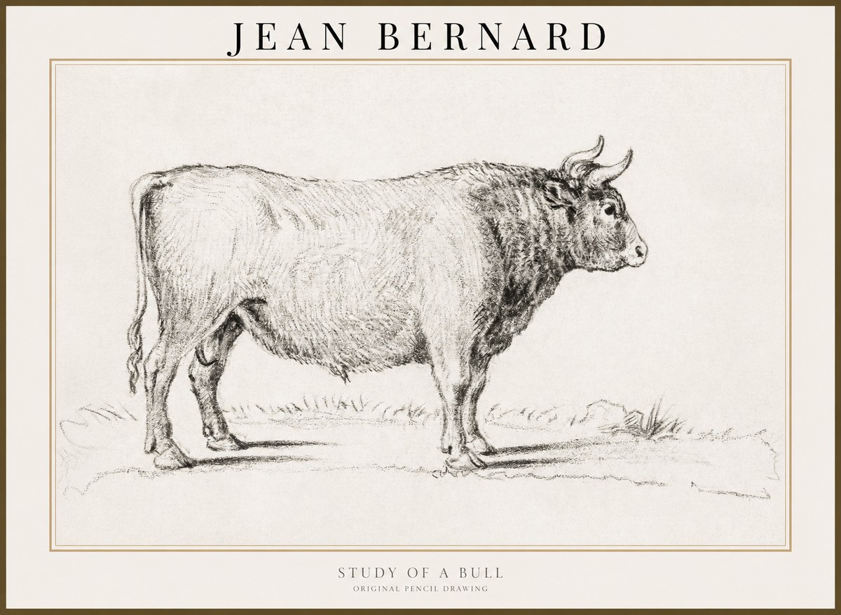 Jean Bernard Study of a Bull I No3 - Plakát