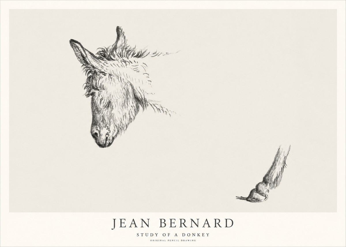 Jean Bernard Study of a Donkey II No1 - Plakát