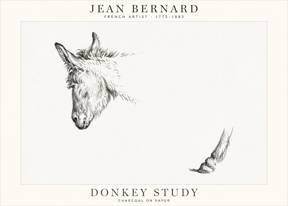 Jean Bernard Study of a Donkey II No2 - Plakát
