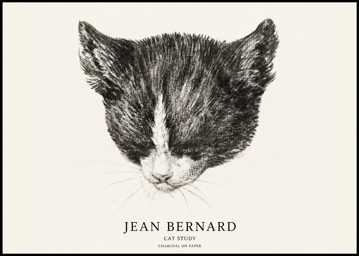 Jean Bernard Cat Study V No1 - Plakát