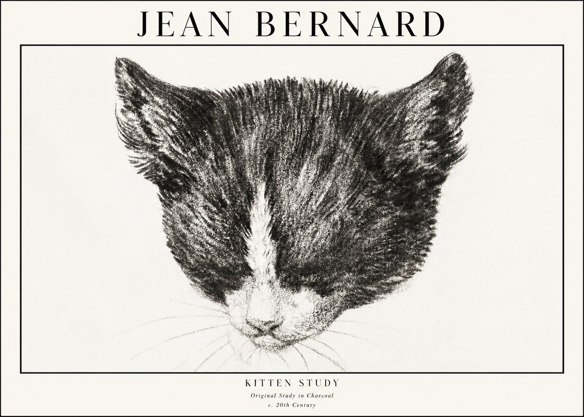 Jean Bernard Cat Study V No4 - Plakát