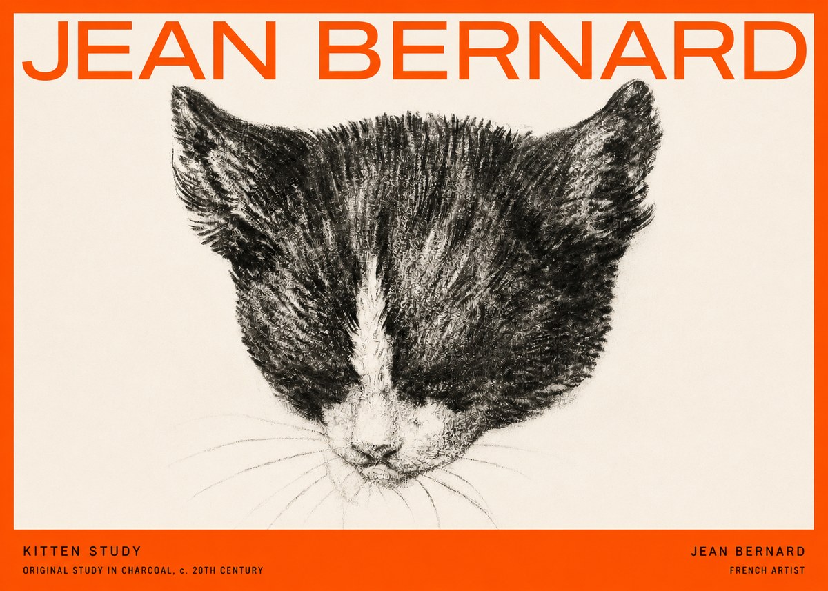 Jean Bernard Cat Study V No5 - Plakát