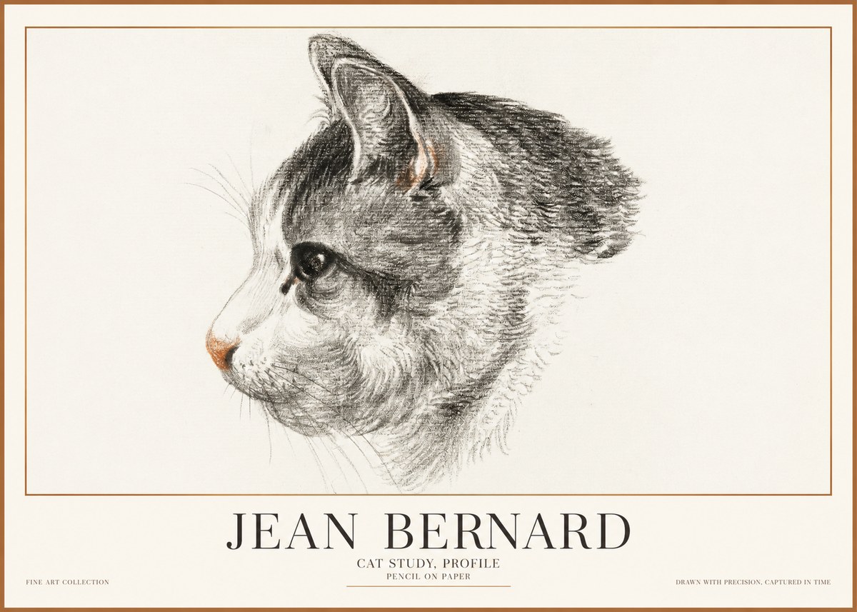 Jean Bernard Cat Study, Profile No1 - Plakát