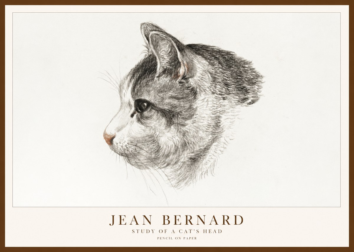 Jean Bernard Cat Study, Profile No2 - Plakát
