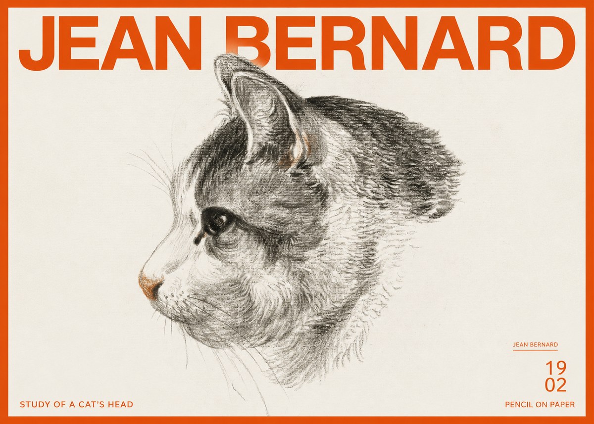 Jean Bernard Cat Study, Profile No3 - Plakát