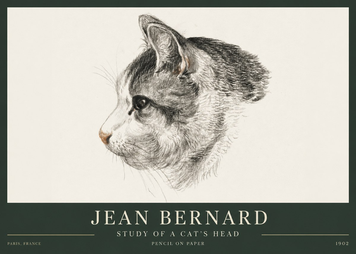 Jean Bernard Cat Study, Profile No4 - Plakát