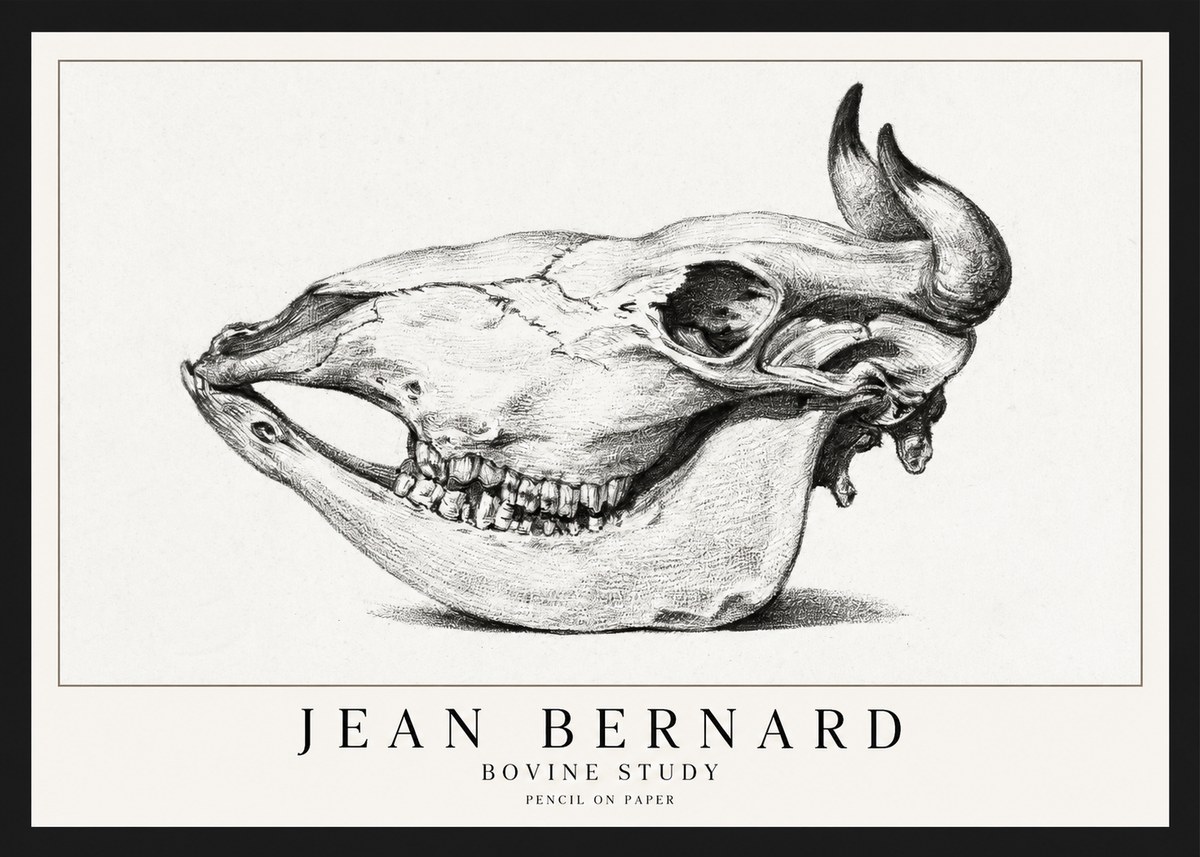 Jean Bernard Bovine Skull Study No2 - Plakát