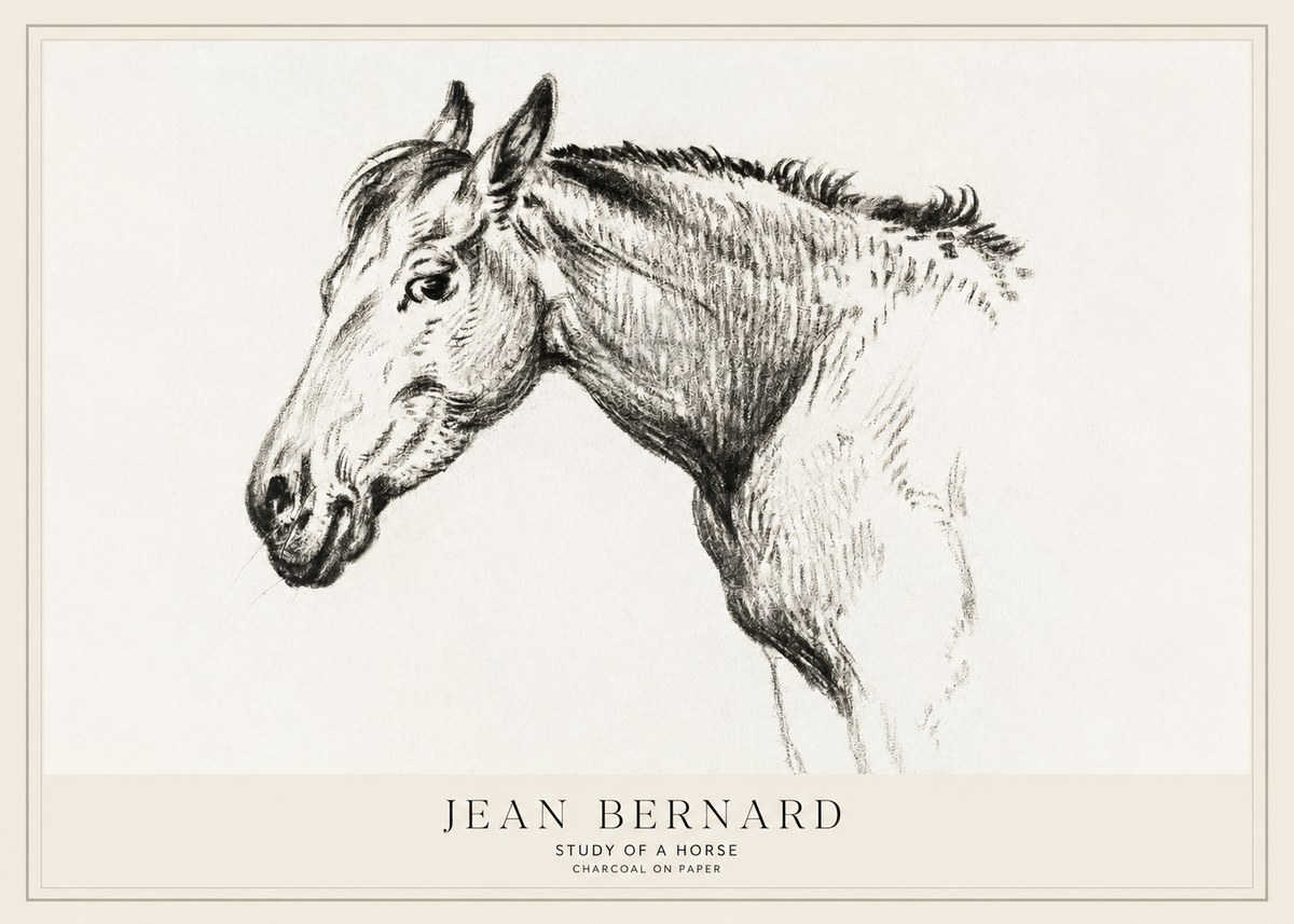 Jean Bernard Study of a Horse VI No1 - Plakát