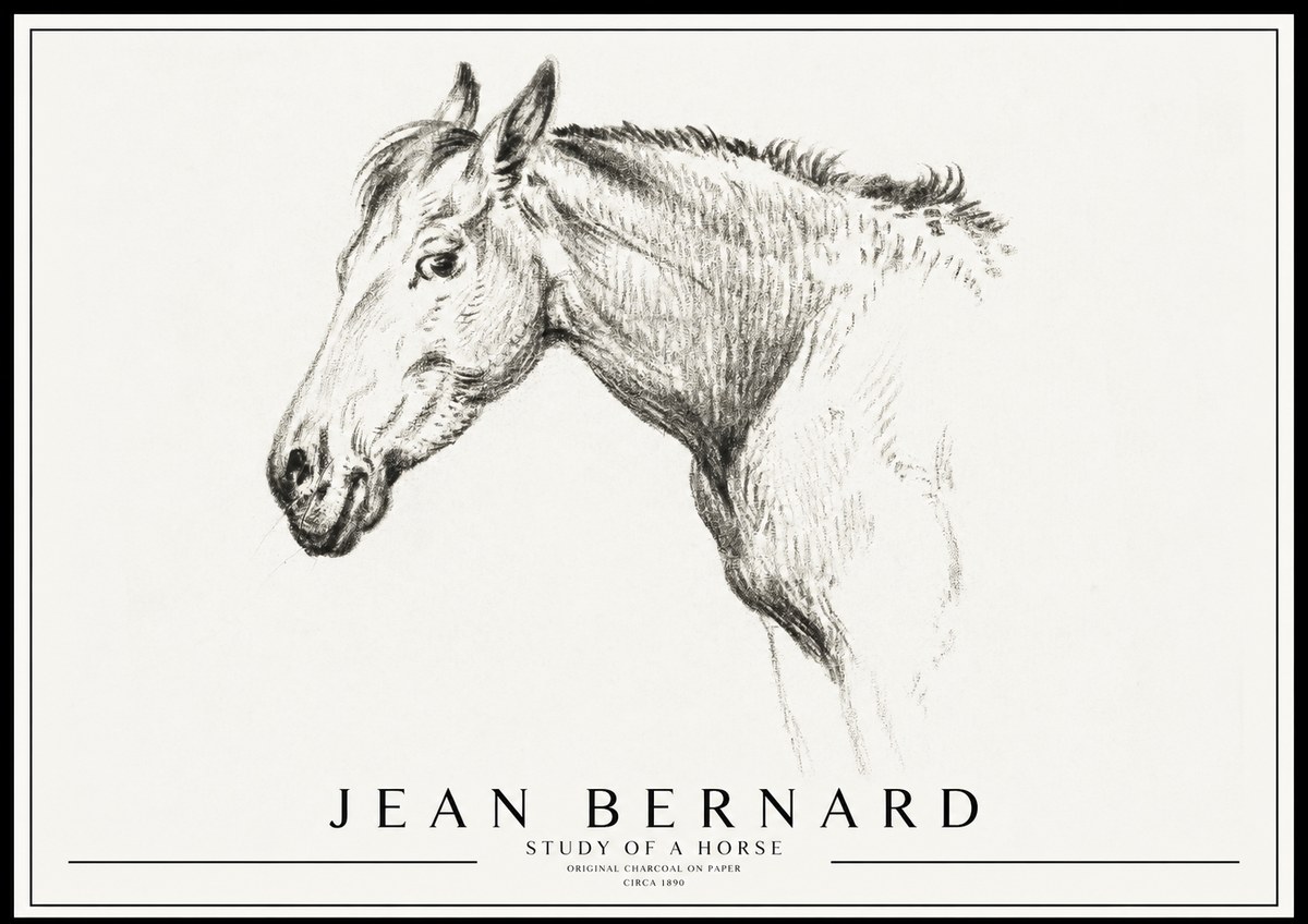 Jean Bernard Study of a Horse VI No3 - Plakát