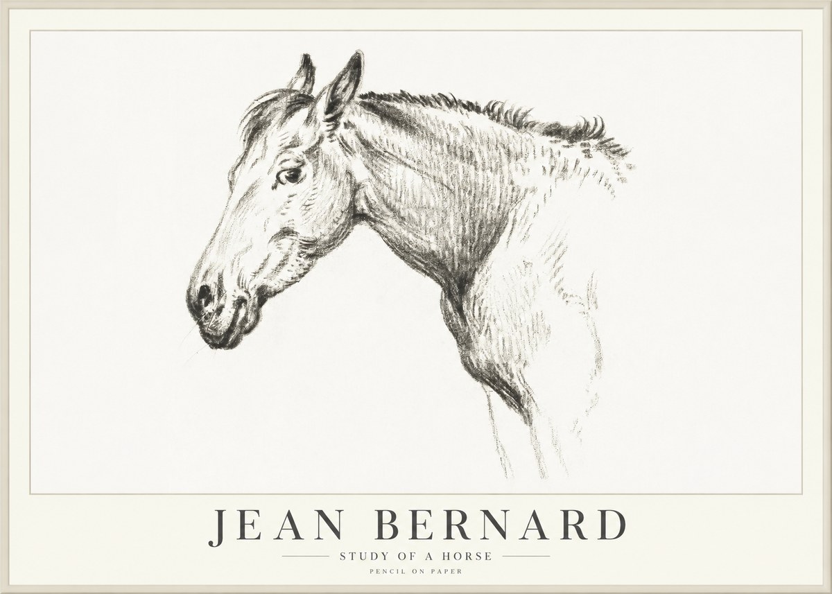 Jean Bernard Study of a Horse VI No4 - Plakát