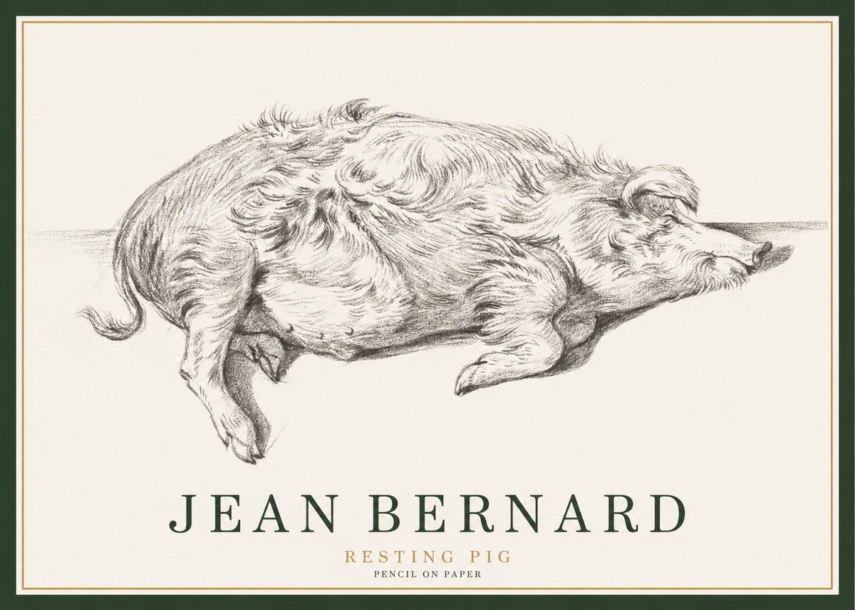 Jean Bernard Study of a Pig I No3 - Plakát