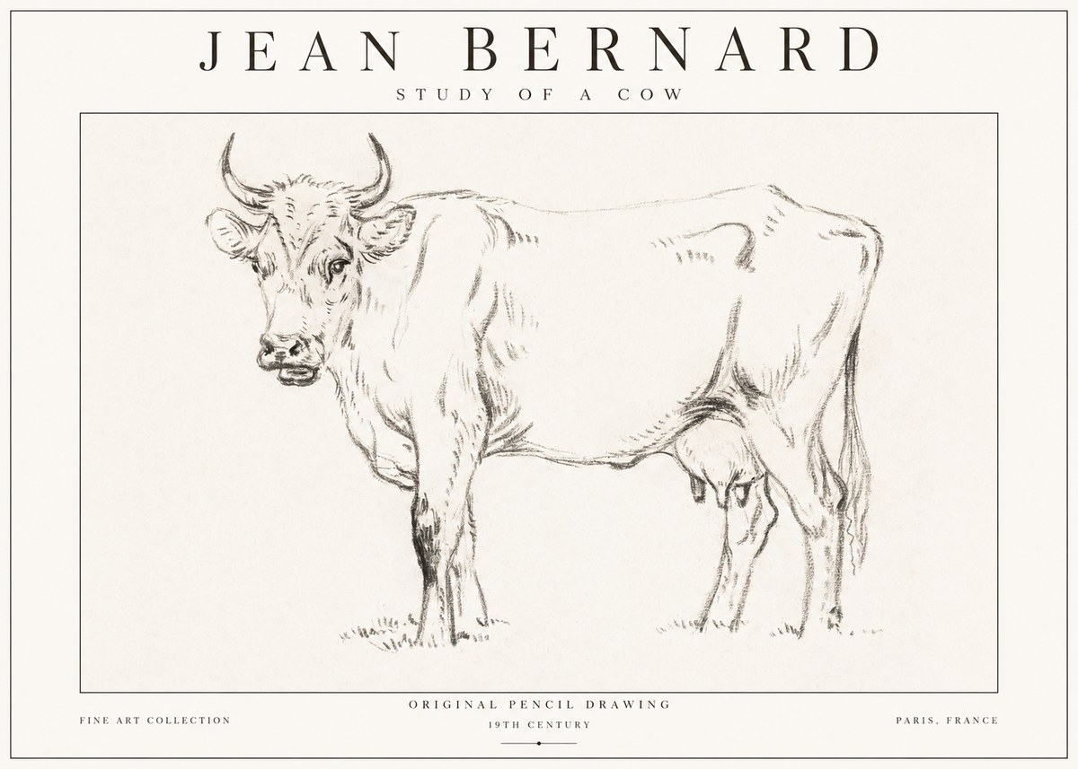 Jean Bernard Study of a Cow VI No1 - Plakát