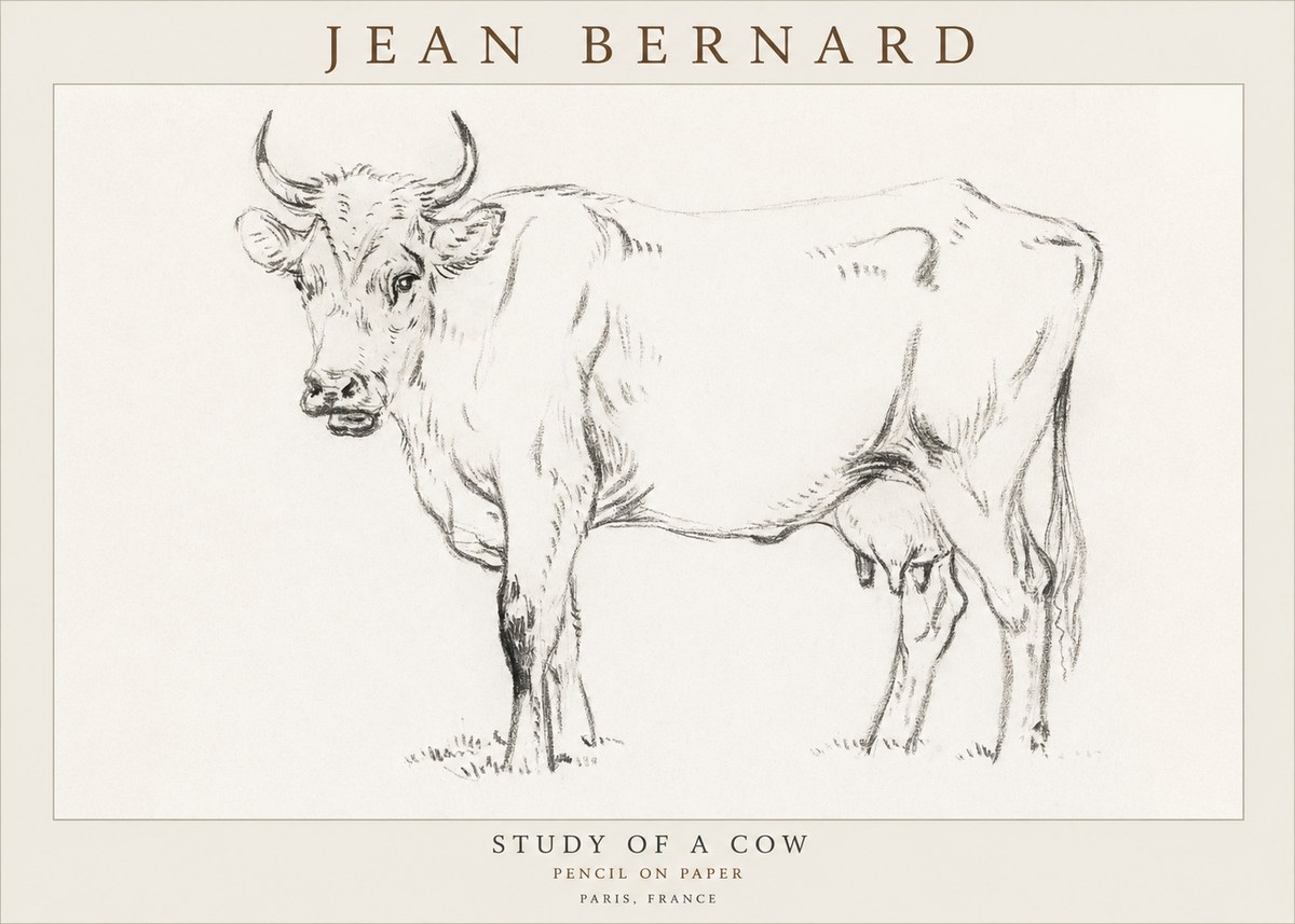 Jean Bernard Study of a Cow VI No3 - Plakát
