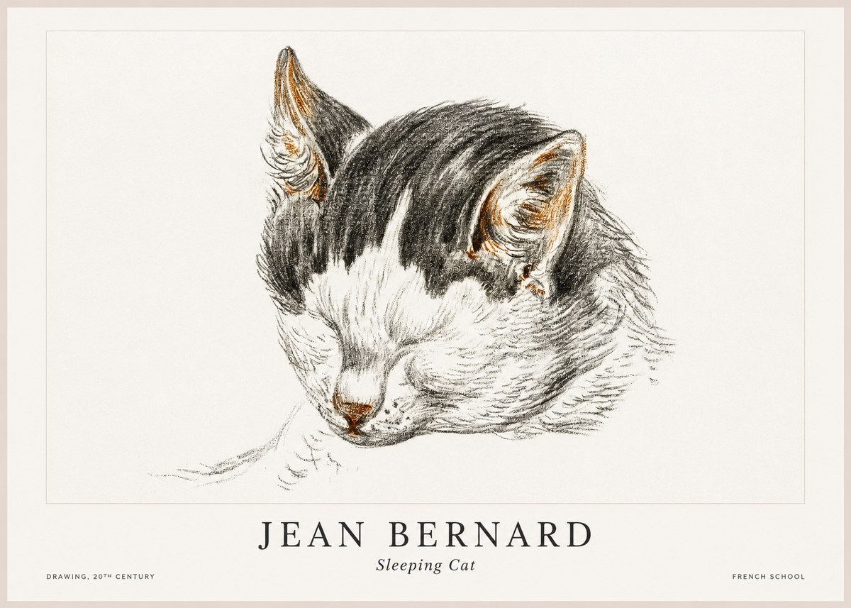 Jean Bernard Sleeping Cat V No1 - Plakát