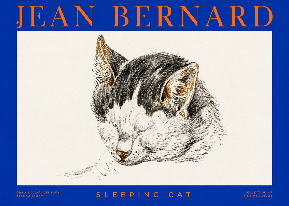 Jean Bernard Sleeping Cat V No2 - Plakát